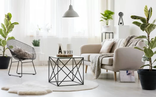 One Bedroom Apartment